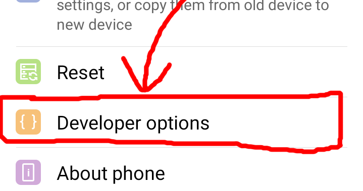 Developer options option
